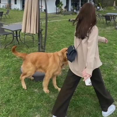 第七码